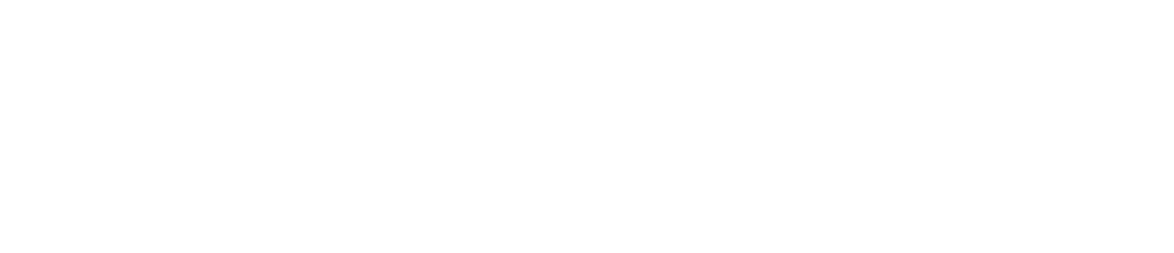 WS INVESTISSEMENT